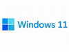 Windows 11 CSP Perpetual